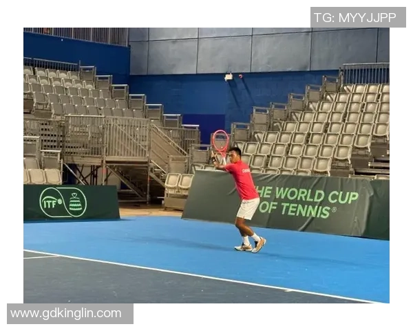 杭州网球队在锦标赛中的精彩表现与状态分析 杭州网球队在锦标赛中的精彩表现与状态分析