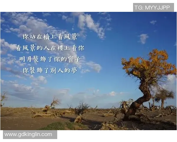 王强谈网球生涯:从青涩少年到职业选手的心路历程与成长故事 王强谈网球生涯:从青涩少年到职业选手的心路历程与成长故事