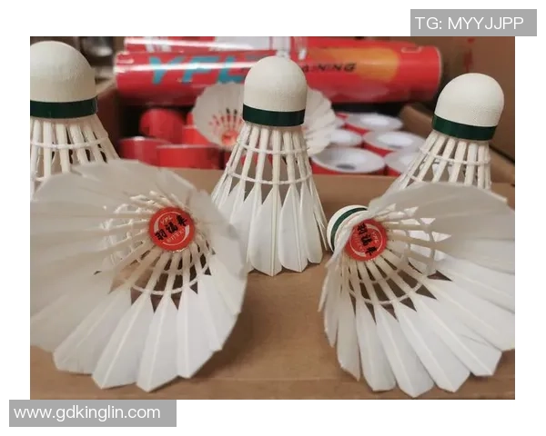 羽毛球装备选购指南及必备训练器材推荐助你提升技术水平 羽毛球装备选购指南及必备训练器材推荐助你提升技术水平