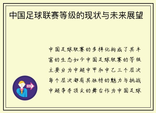 中国足球联赛等级的现状与未来展望