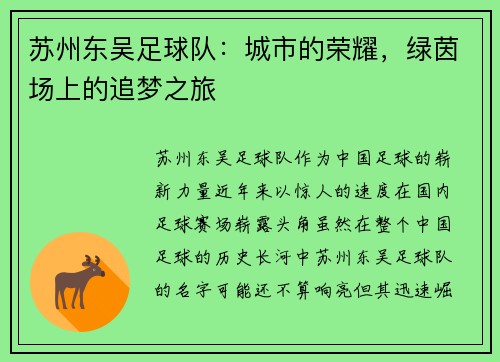 苏州东吴足球队：城市的荣耀，绿茵场上的追梦之旅