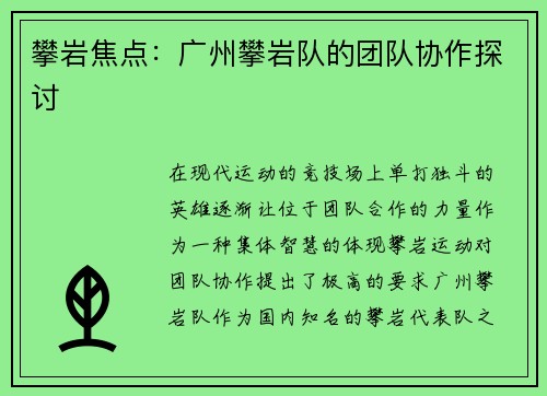 攀岩焦点：广州攀岩队的团队协作探讨